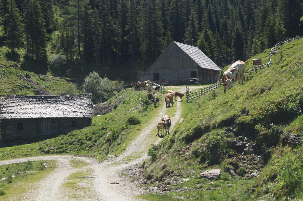 Der Perweinhof Apartment Donnersbachwald Bagian luar foto