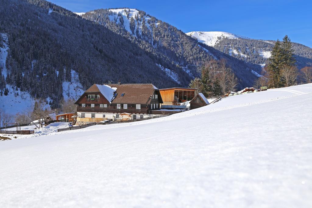 Der Perweinhof Apartment Donnersbachwald Bagian luar foto